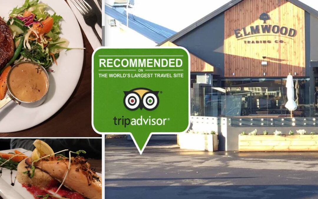 The Elmwood Trading Company Christchurch Review