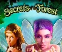 Secrets of the Forest